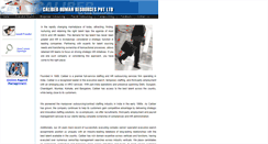 Desktop Screenshot of caliberhr.com